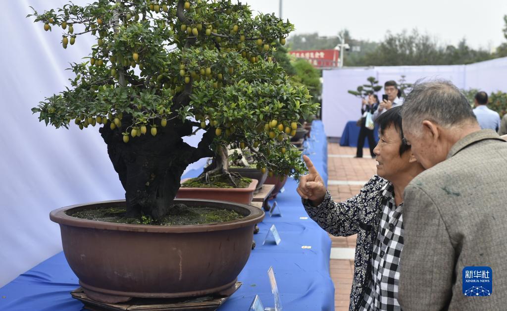 优发国际下载地址